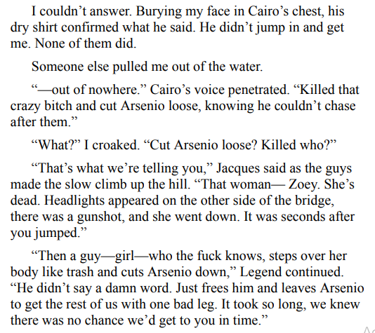 CHAOS CROWN BY RUBY VINCENT ePub