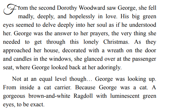 COZY HOMETOWN CHRISTMAS BY MEREDITH SUMMERS PDF