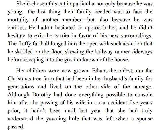 COZY HOMETOWN CHRISTMAS BY MEREDITH SUMMERS ePub