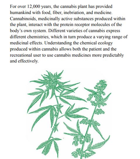 Cannabis Pharmacy by Michael Backes PDF