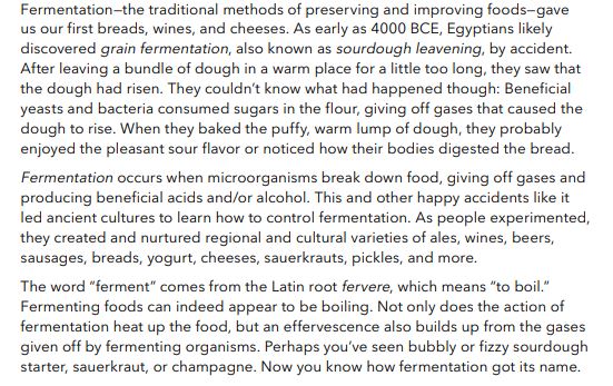 www niylog.com Fermenting by Wardeh Harmon ePub