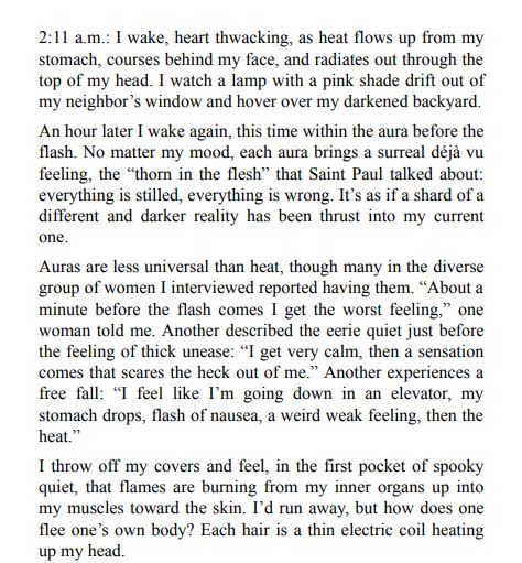 Flash Count Diary by Darcey Steinke PDF