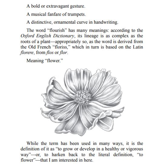 From Survive to Thrive by Margaret S Chisolm PDF