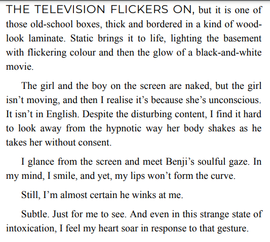 His Pretty Little Burden BY Nicci Harris 