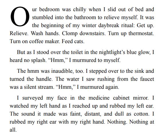 Life After Deaf by Noel Holston PDF