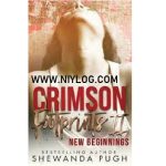 NEW BEGINNINGS BY SHEWANDA PUGH