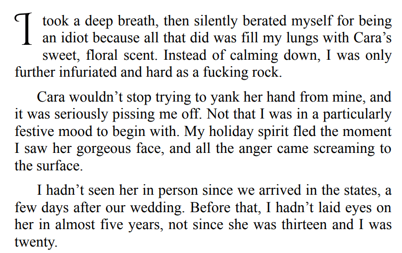 SNOW MANY PROMISES BY ELLE CHRISTENSEN 