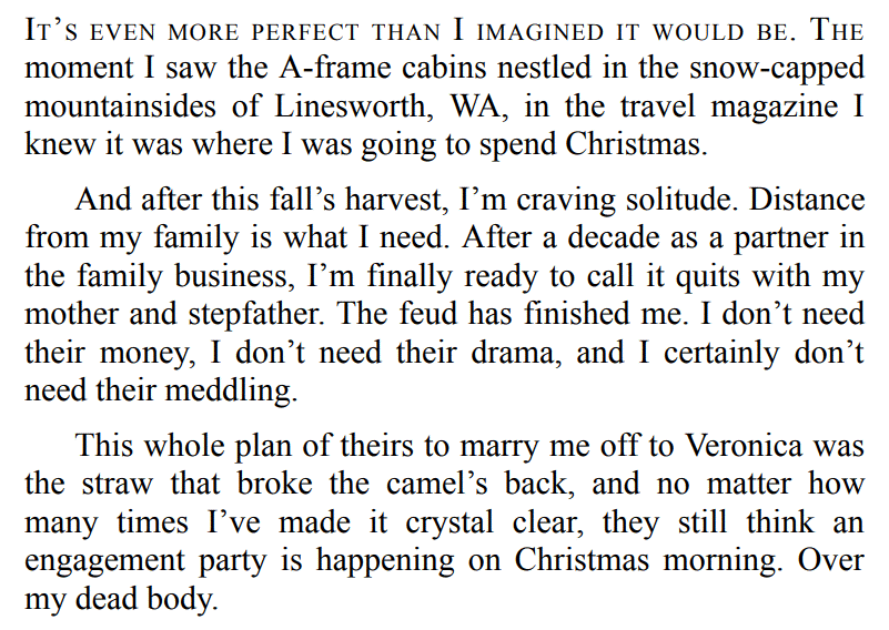 SNOW PLOW BY FRANKIE LOVE 