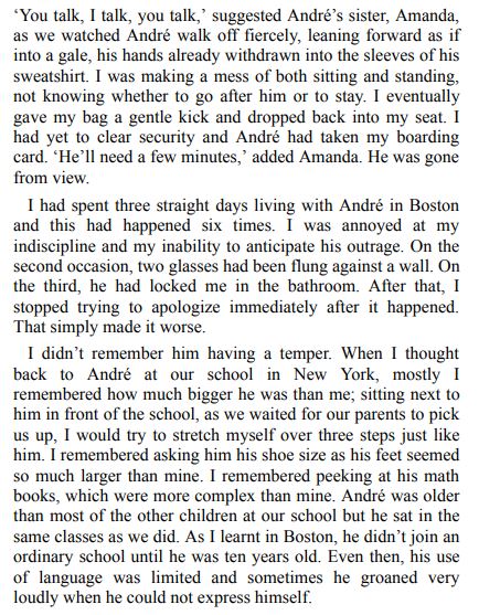 Send in the Idiots by Kamran Nazeer PDF