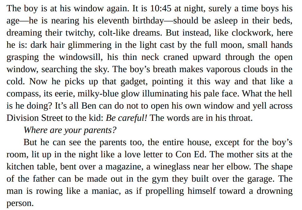 Signal Fires by Dani Shapiro 