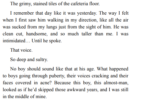 TWISTED LITTLE LIES BY RACHAEL BROWNELL ePub