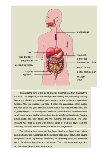 The Complete Low FODMAP Diet by Sue Shepherd PDF