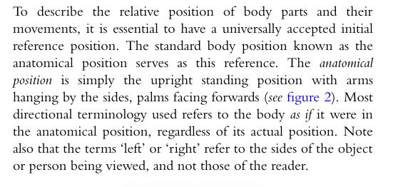 The Concise Book of Muscle by Chris Jarmey PDF