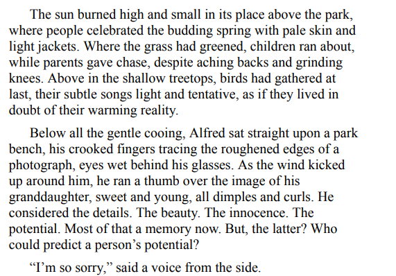 The Girl of Flesh and Bone by RJ Law PDF