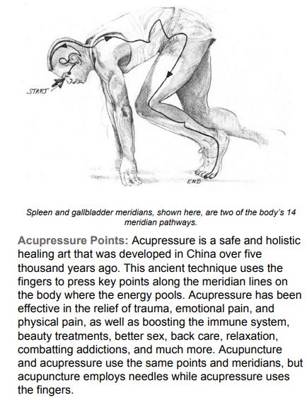 The Little Book of Energy Medicine by Donna Eden & Dondi Dahlin PDF