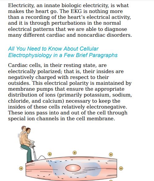 The Only EKG Book You’ll Ever Need by Malcolm S. Thaler PDF
