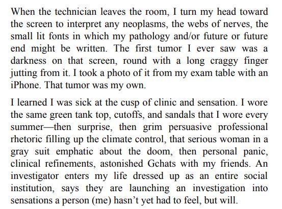 The Undying by Anne Boyer PDF