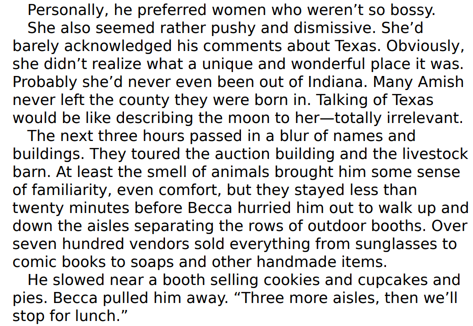 An Amish Proposal for Christmas by Vannetta Chapman