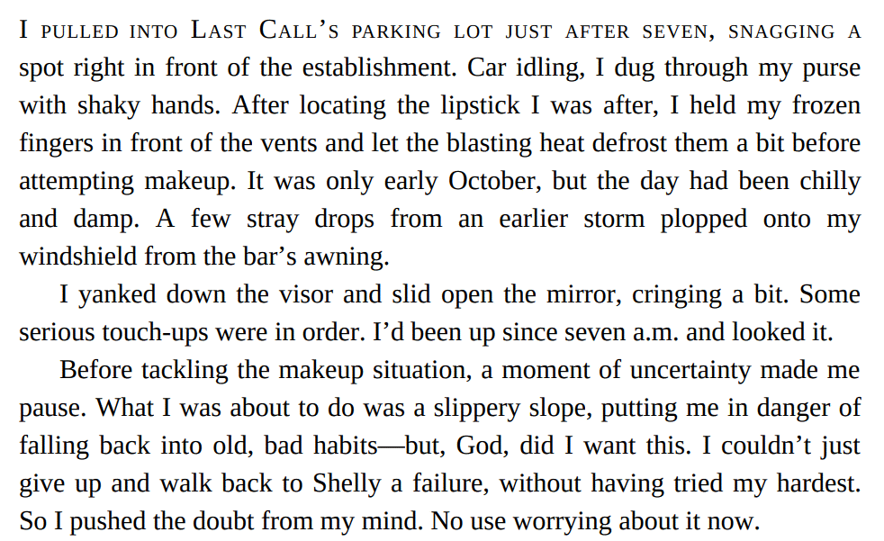 Bad Press by Rachel Mucha 