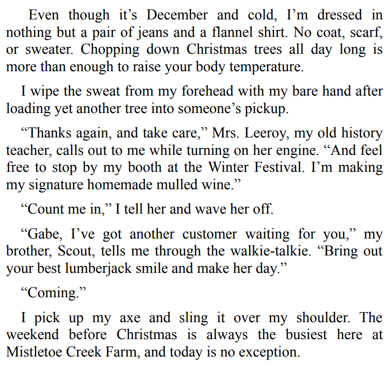 CHRISTMAS SECRET BY HAZEL J. NORTH 