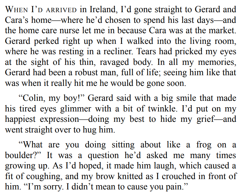 SNOW MANY PROMISES BY ELLE CHRISTENSEN 