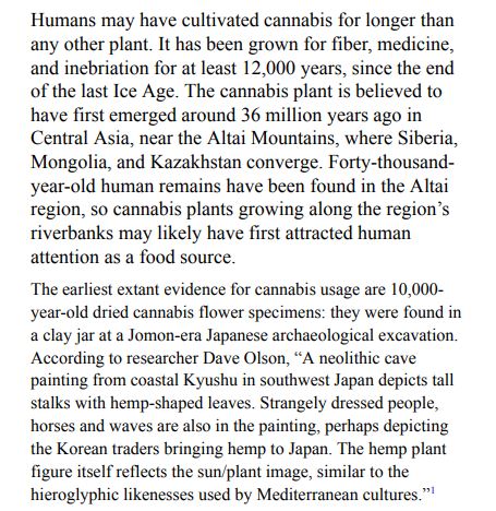 Cannabis Pharmacy by Michael Backes PDF