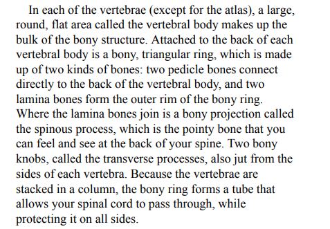 Healthy Back Anatomy by Philip Striano PDF