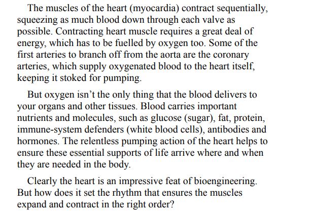 Keeping Your Heart Healthy by Boon Lim PDF