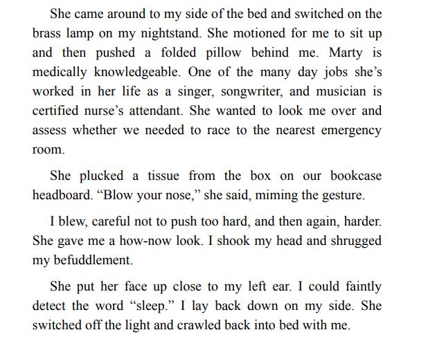 Life After Deaf by Noel Holston PDF