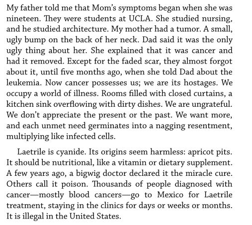 Tell Me Something Real by Calla Devlin PDF