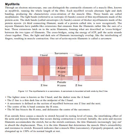 The Concise Book of Trigger Points by Simeon Niel Asher PDF