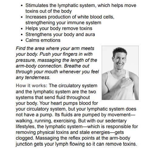 The Little Book of Energy Medicine by Donna Eden & Dondi Dahlin PDF