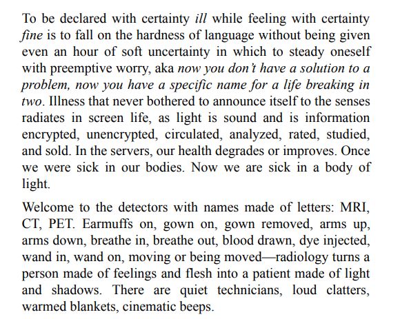 The Undying by Anne Boyer PDF