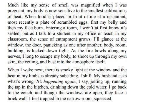 Flash Count Diary by Darcey Steinke PDF