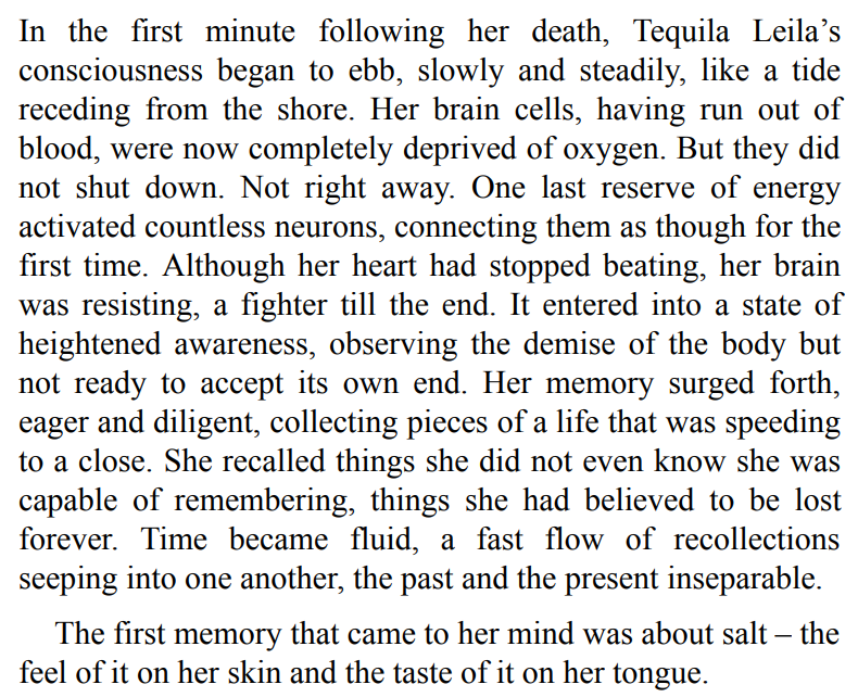 10 Minutes 38 Seconds in This Strange World by Elif Shafak