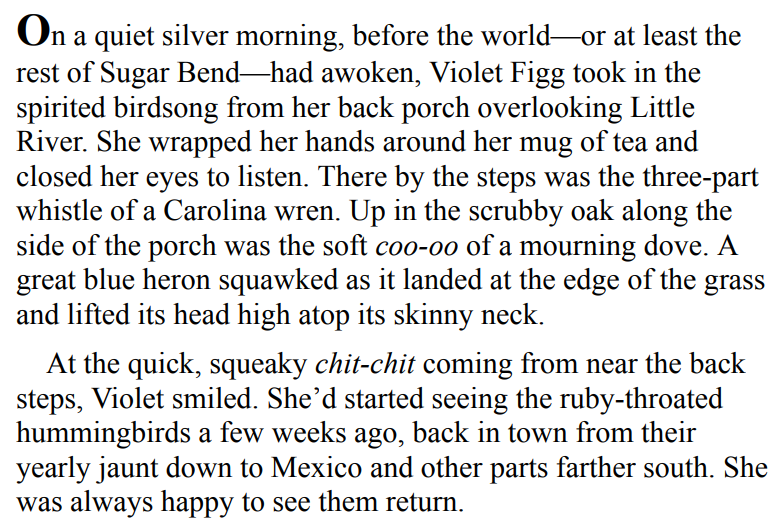 A Place to Land by Lauren K. Denton