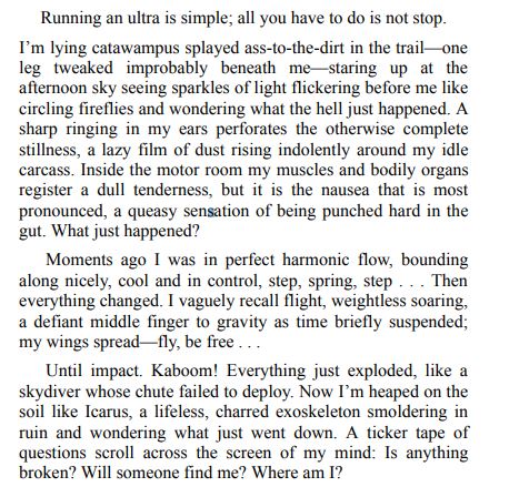 A Runner's High by Dean Karnazes PDF