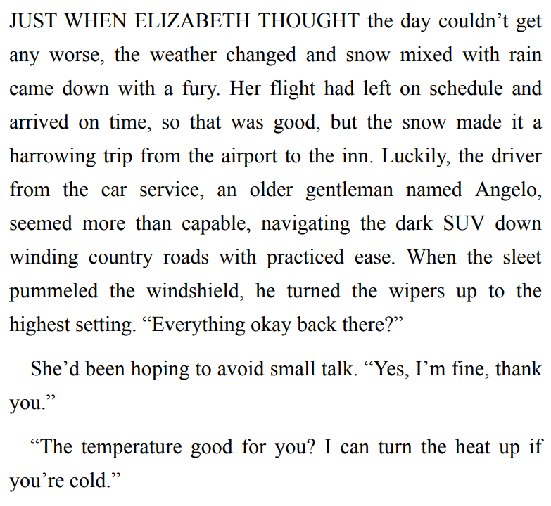 A Time-Travel Christmas by Karen McQuestion 