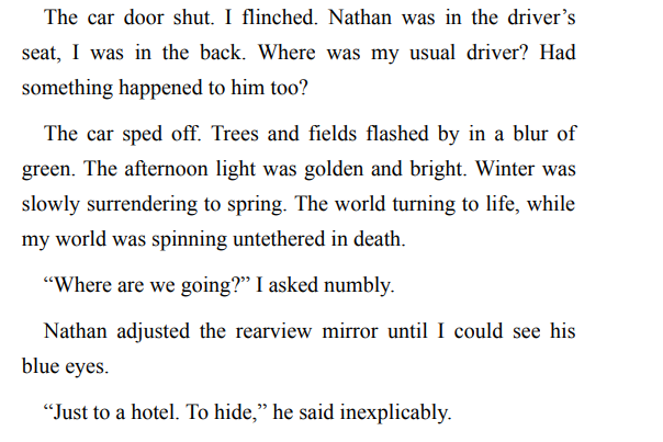 ALL RAIL THE KING BY S. RODMAN ePub