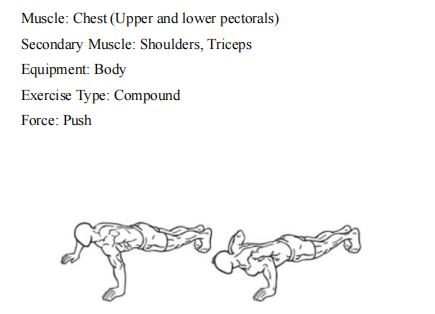 Bodyweight: Bodyweight Bible by Felix Harder