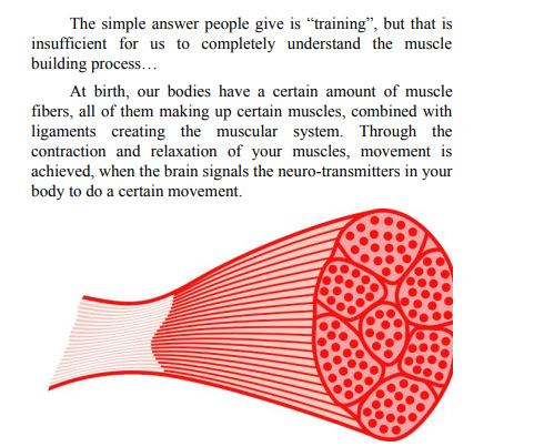 Fitness Over 50 by Conrad Adam PDF