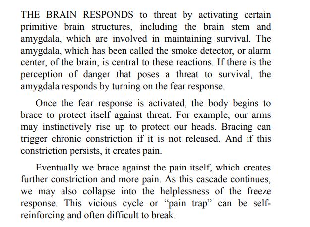 Freedom from Pain by Peter A. Levine PDF