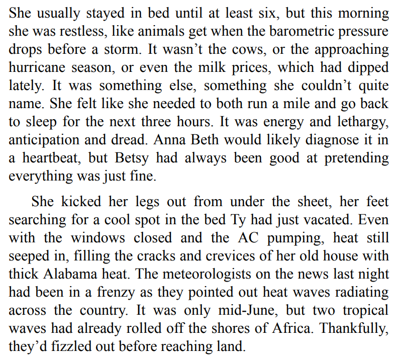 Hurricane Season by Lauren K. Denton 