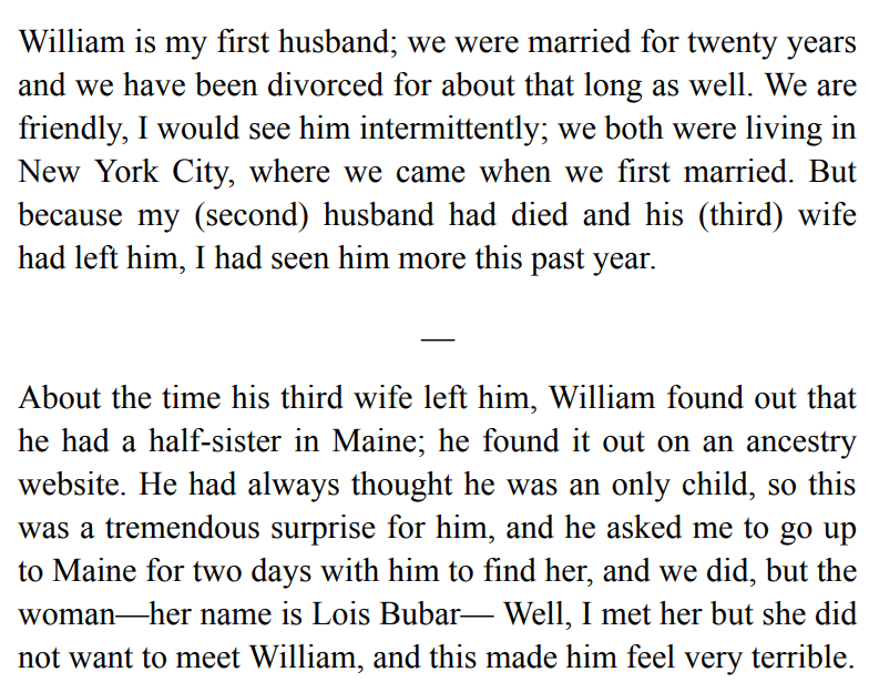 Lucy by the Sea by Elizabeth Strout 