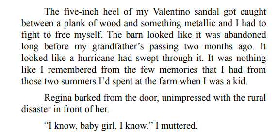 MONTANA LONE RIDER BY DIANE PORTMAN-RAY PDF