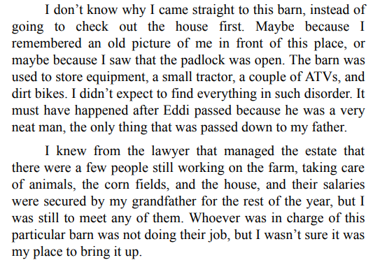 MONTANA LONE RIDER BY DIANE PORTMAN-RAY ePub