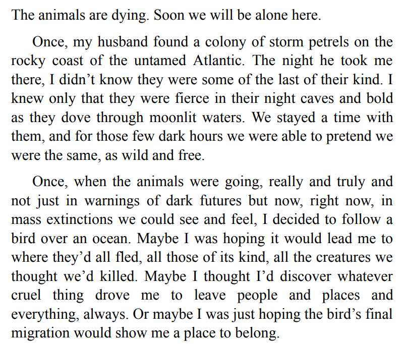 Migrations by Charlotte McConaghy 