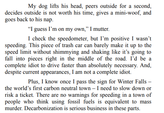 My Forever Love by D.E. Haggerty PDF