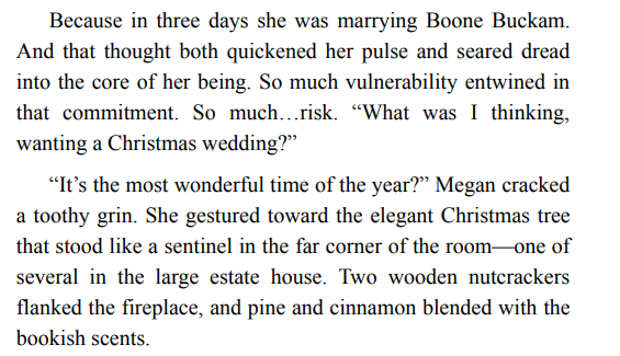 ONCE UPON A WINTER WONDERLAND BY SUSAN MAY WARREN ePub