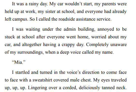 Owned By Santa by Imani Jay ePub